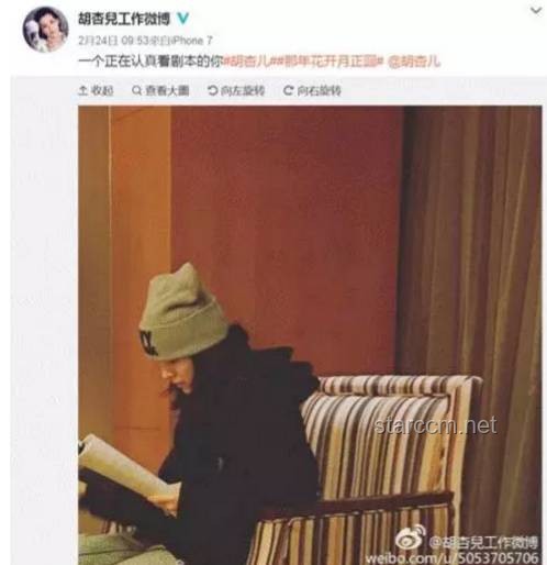 刘若英道歉事件引发的娱乐行业公关危机管理洞察